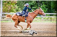 4H-District-091314-2821.jpg