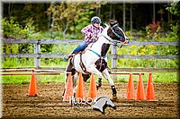 4H-District-091314-2847.jpg