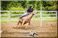 08. Pole Bending Horse - Sr. Rider