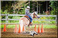 10. Raised Box Keyhole Ponies- Sr. Rider