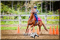 11. Raised Box Keyhole Horse - Jr. Rider