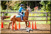 12. Raised Box Keyhole Horse - Sr. Rider