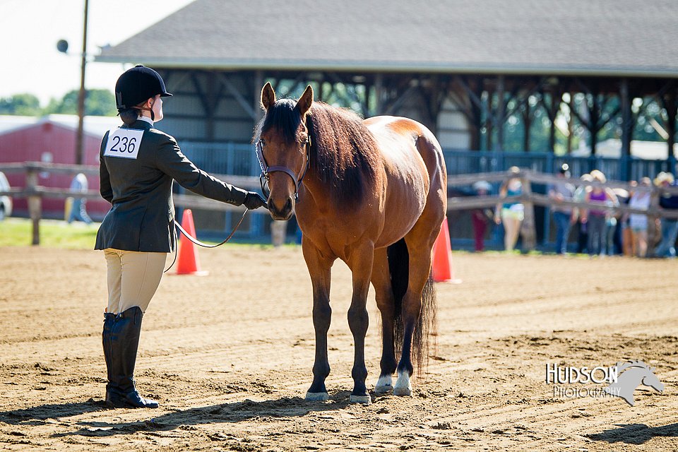 4H-FUN-060714-0033.jpg