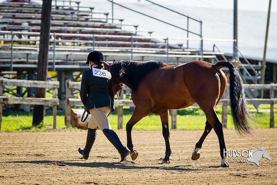 4H-FUN-060714-0034.jpg