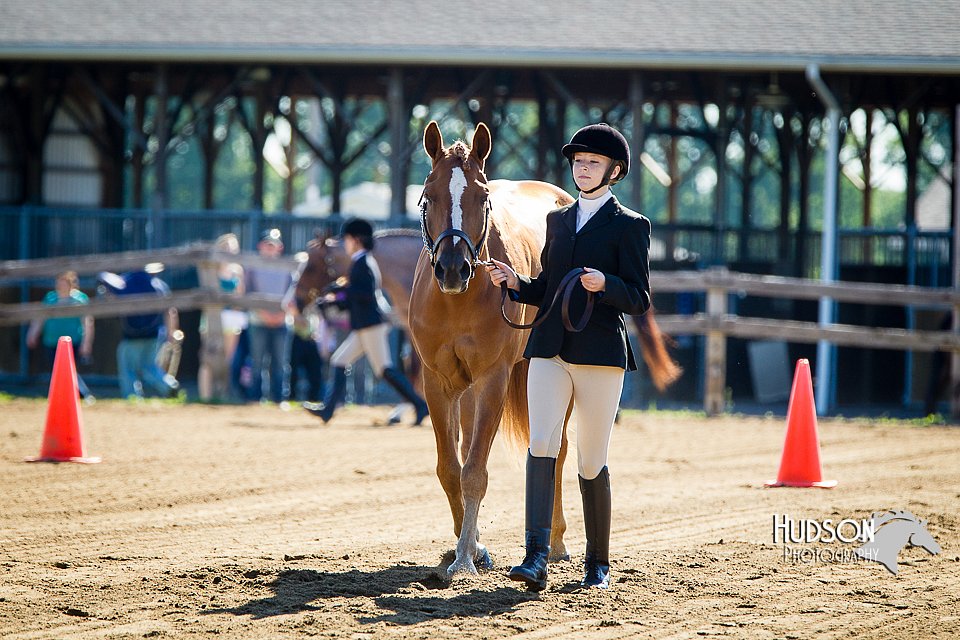 4H-FUN-060714-0036.jpg