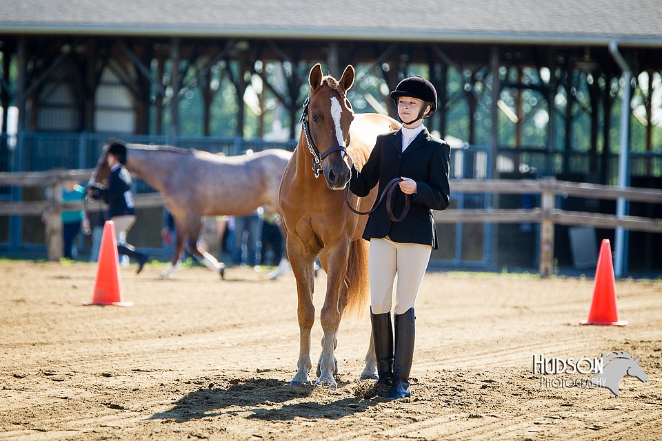4H-FUN-060714-0037.jpg