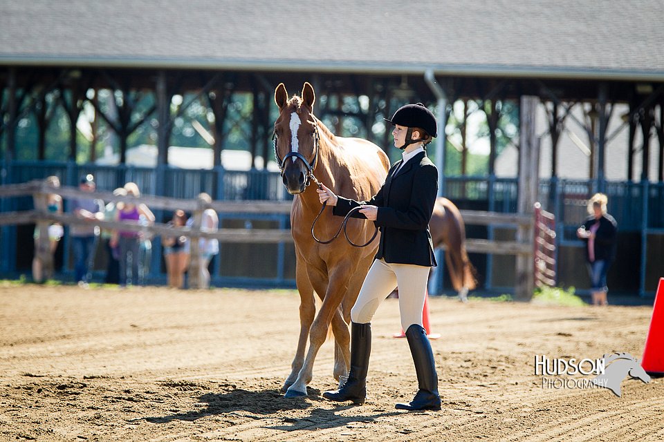 4H-FUN-060714-0038.jpg
