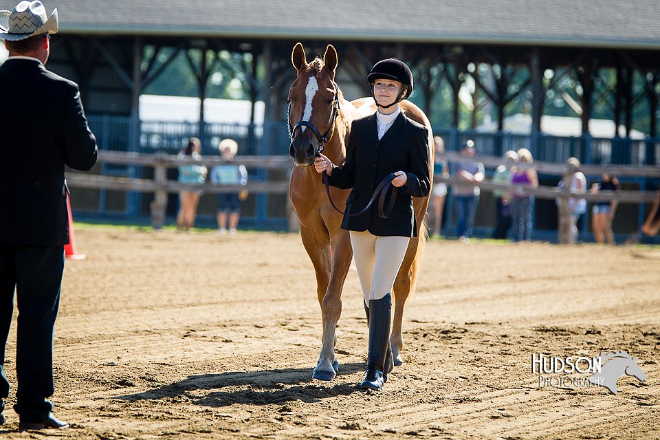 4H-FUN-060714-0041.jpg