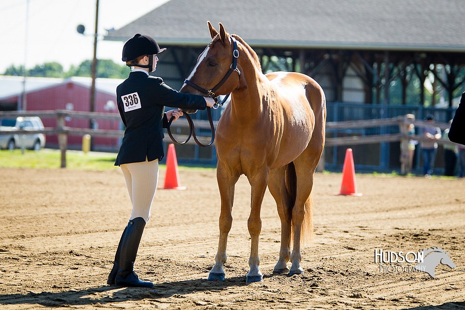 4H-FUN-060714-0043.jpg
