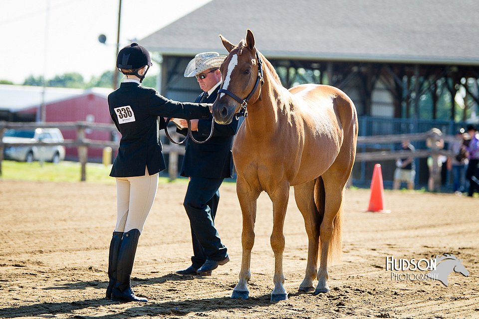 4H-FUN-060714-0044.jpg