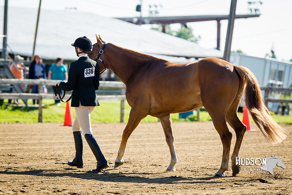 4H-FUN-060714-0045.jpg