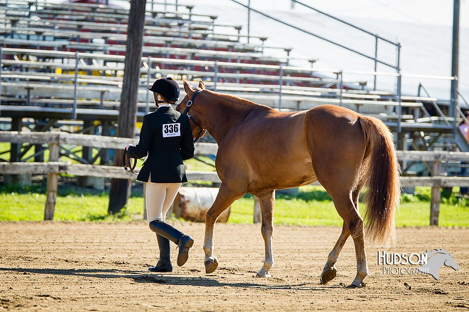 4H-FUN-060714-0046.jpg