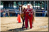 4H-FUN-060714-0073.jpg
