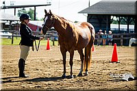 4H-FUN-060714-0083.jpg