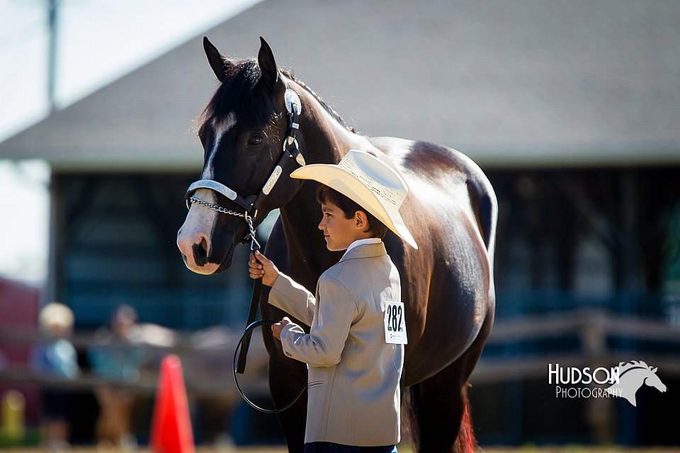 4H-FUN-060714-0122.jpg