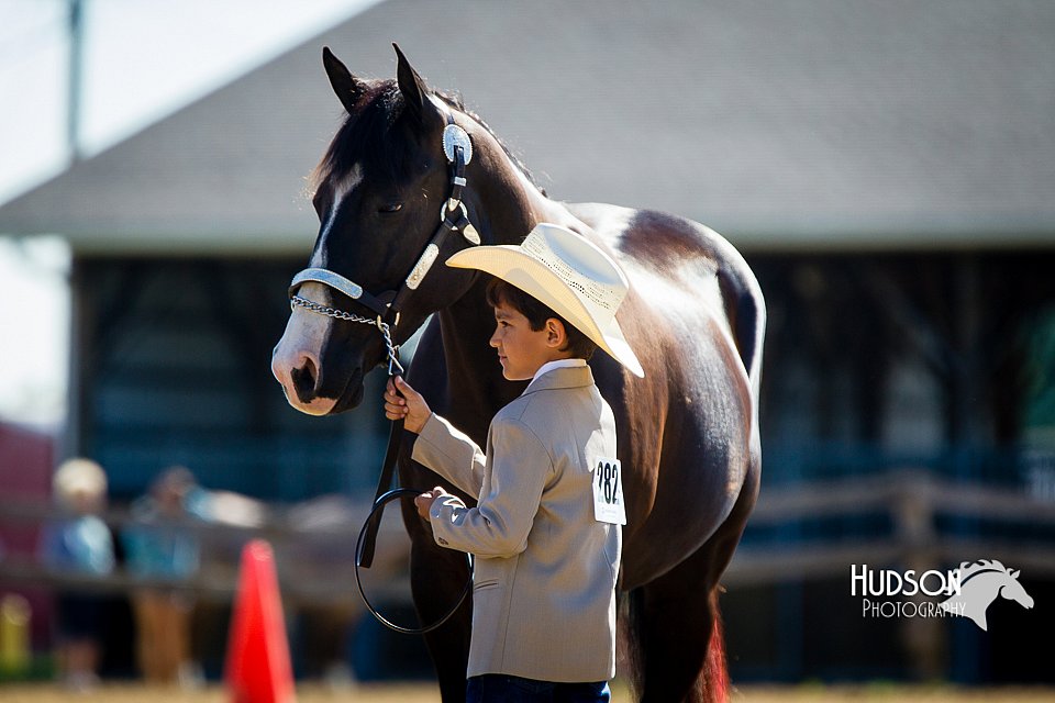 4H-FUN-060714-0124.jpg