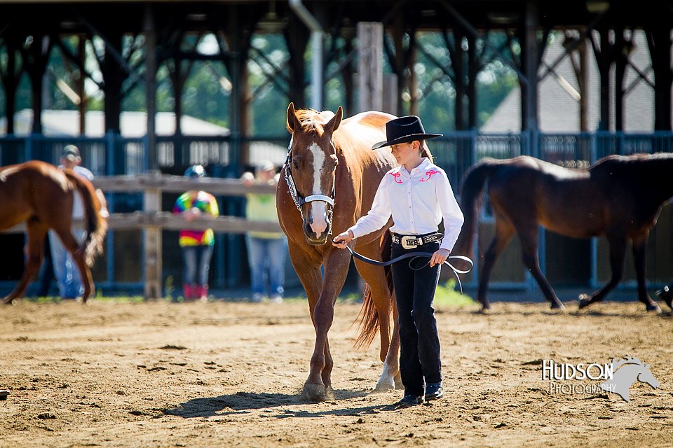4H-FUN-060714-0126.jpg