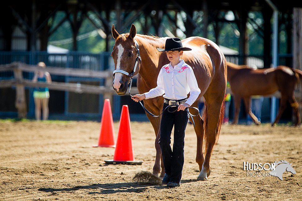 4H-FUN-060714-0129.jpg