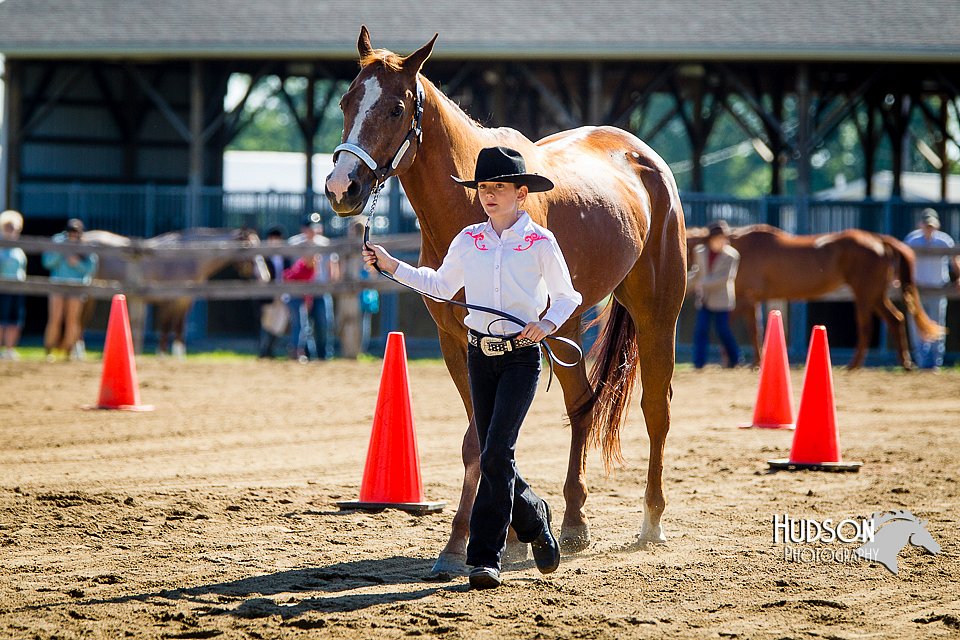 4H-FUN-060714-0132.jpg