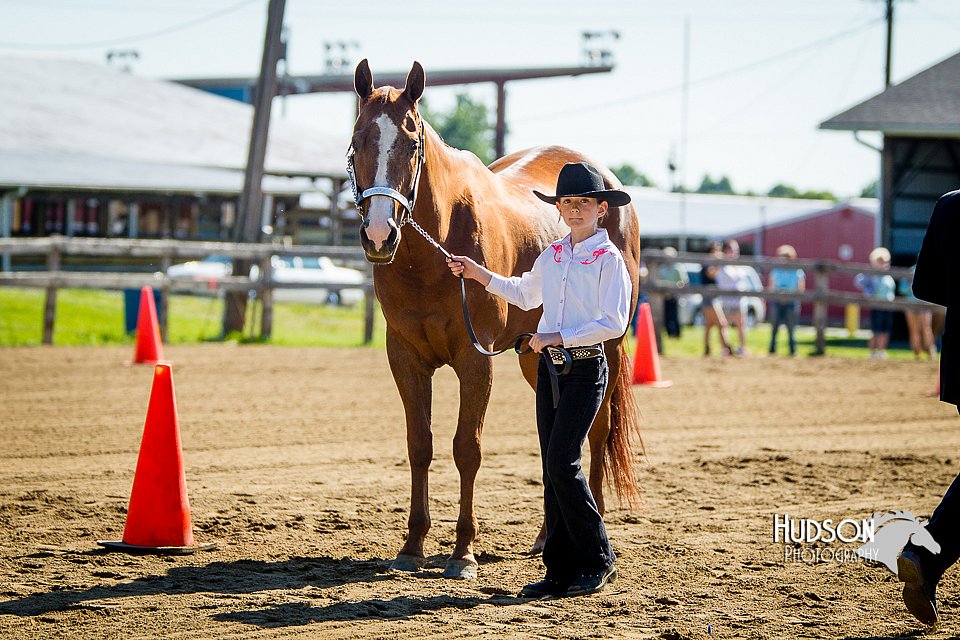 4H-FUN-060714-0133.jpg