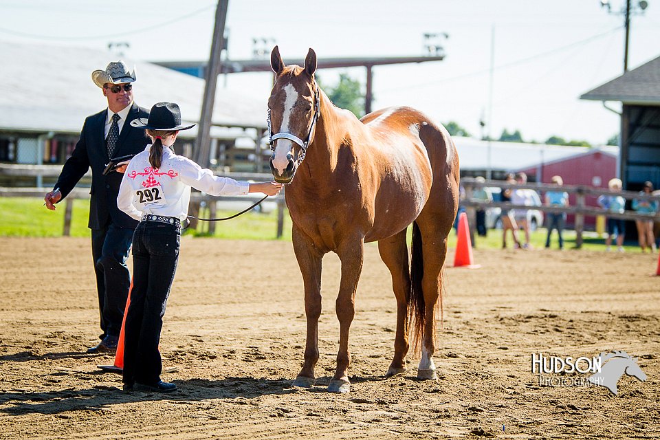4H-FUN-060714-0134.jpg