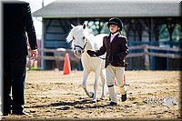 4H-FUN-060714-0097.jpg