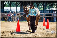 4H-FUN-060714-0104.jpg