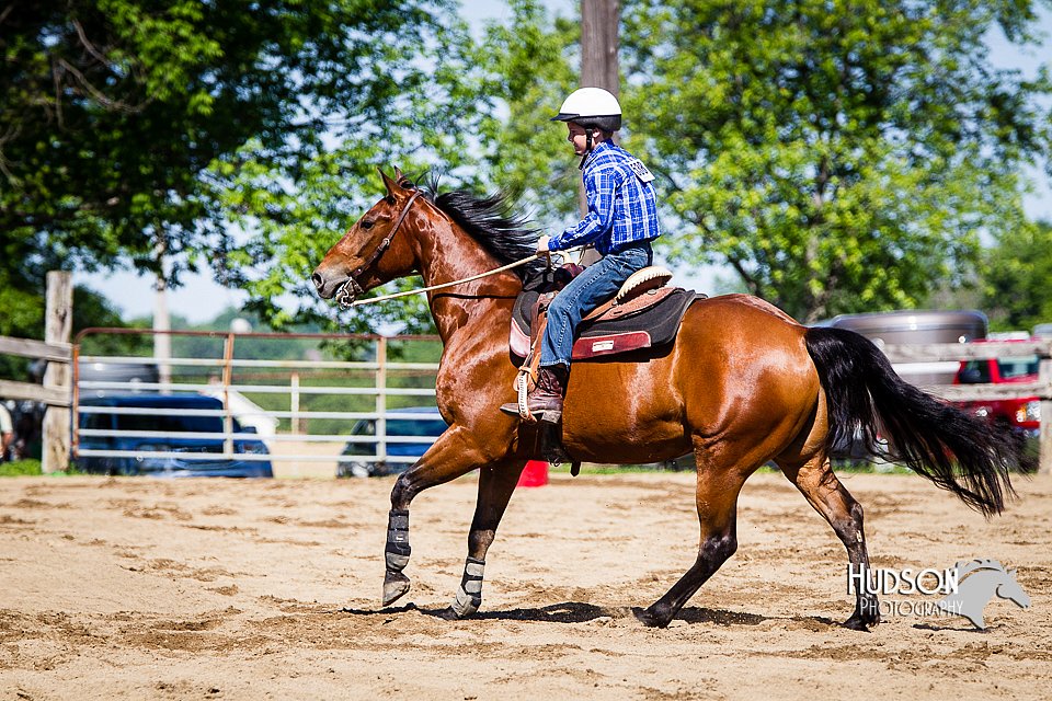 4H-FUN-060714-0296.jpg