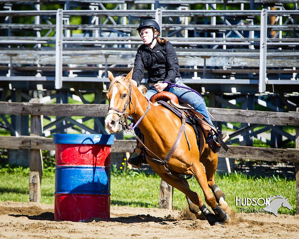 4H-FUN-060714-0302.jpg