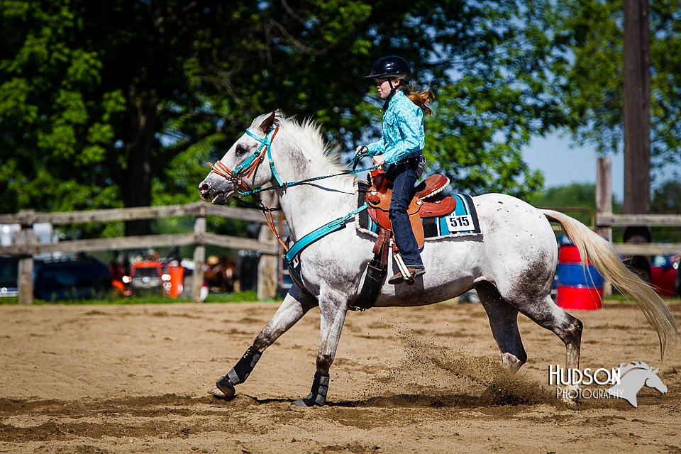 4H-FUN-060714-0318.jpg
