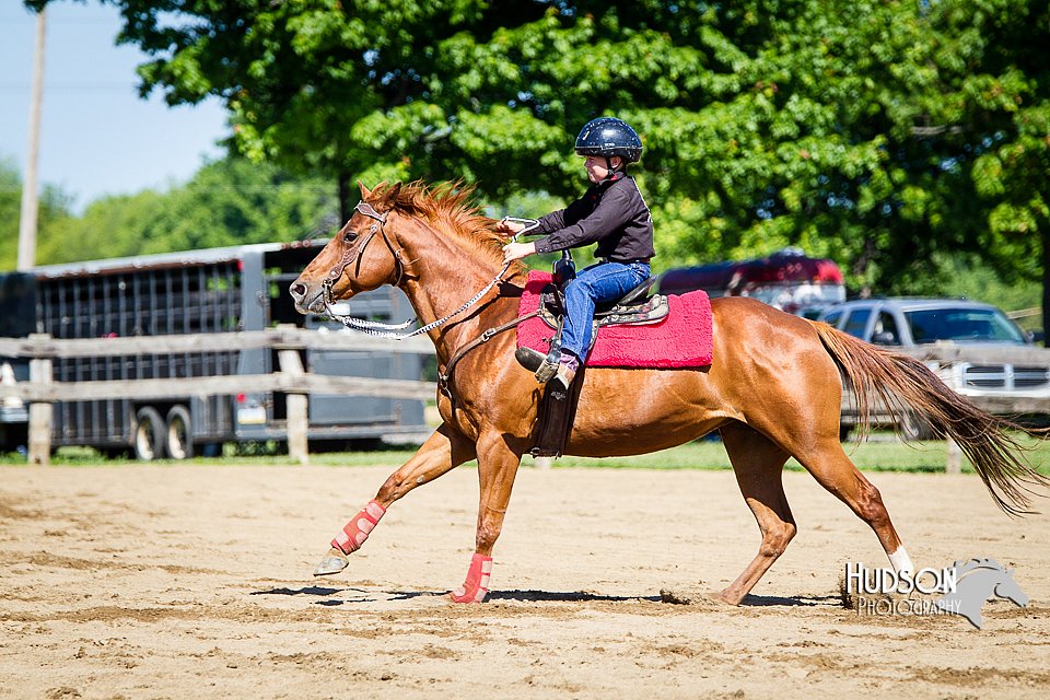 4H-FUN-060714-0327.jpg