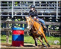 4H-FUN-060714-0301.jpg