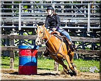 4H-FUN-060714-0302.jpg