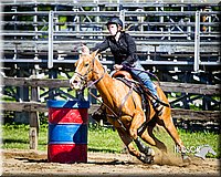 4H-FUN-060714-0303.jpg