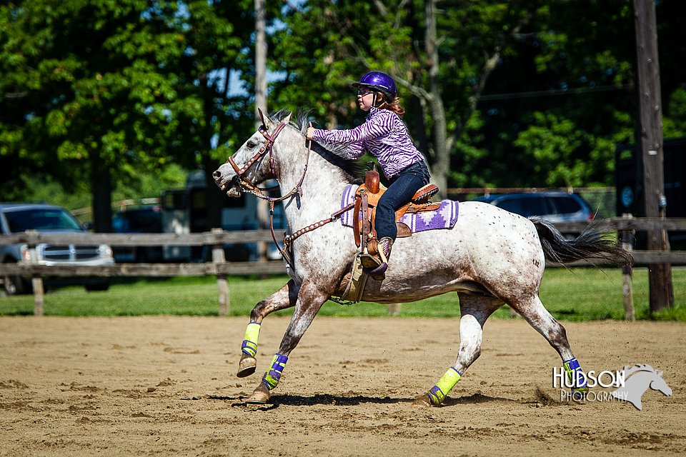 4H-FUN-060714-0395.jpg
