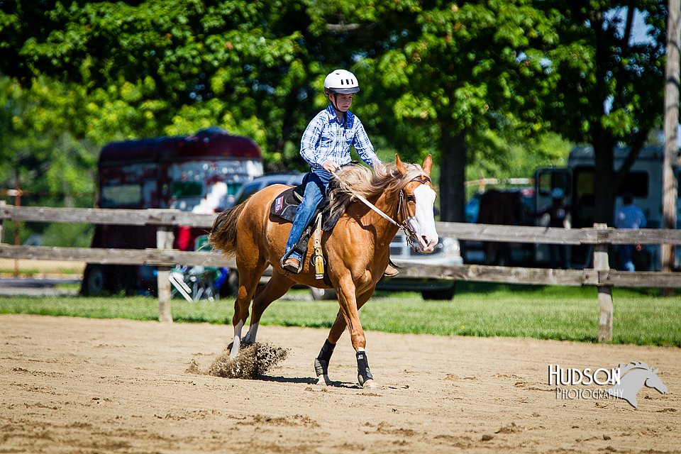 4H-FUN-060714-0408.jpg