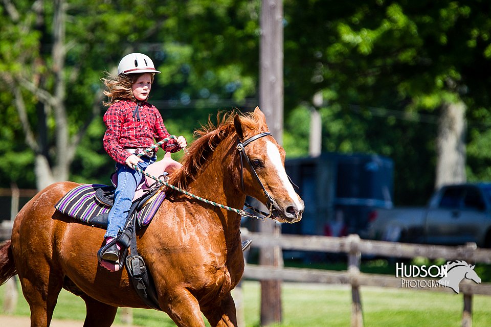 4H-FUN-060714-0437.jpg