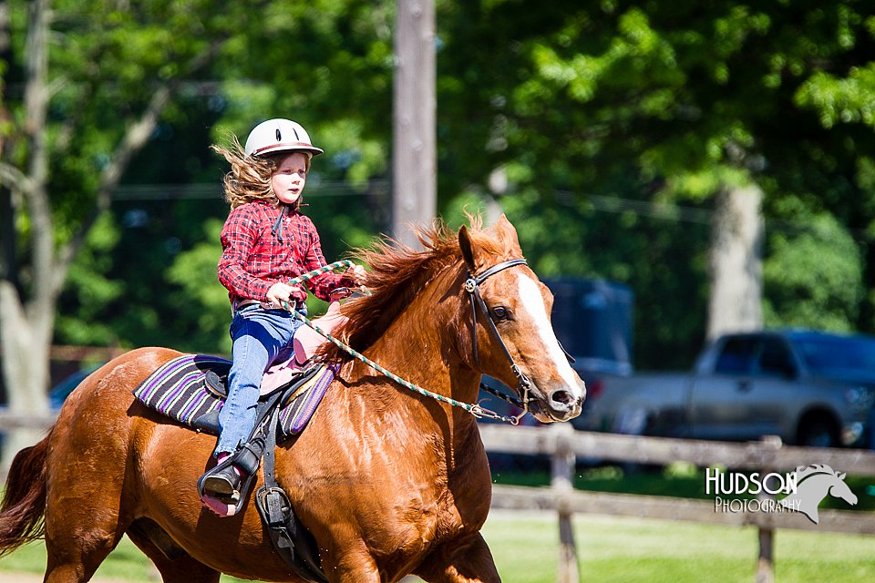 4H-FUN-060714-0438.jpg