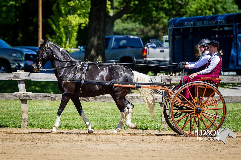 4H-FUN-060714-0451.jpg