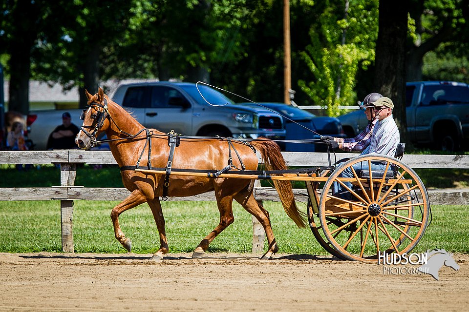 4H-FUN-060714-0455.jpg