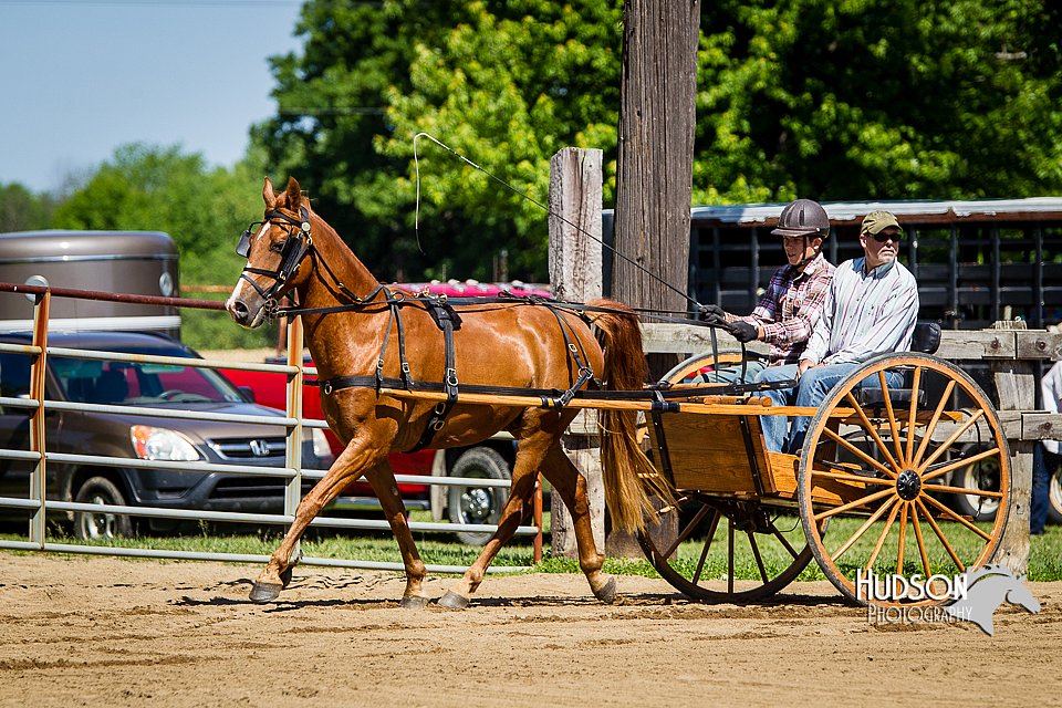 4H-FUN-060714-0458.jpg