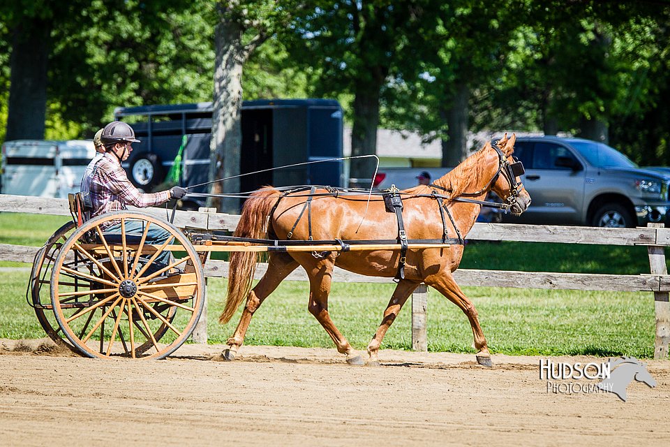 4H-FUN-060714-0465.jpg