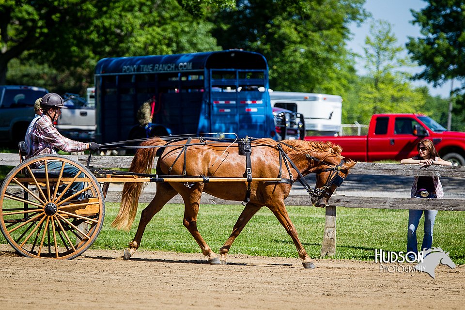 4H-FUN-060714-0466.jpg