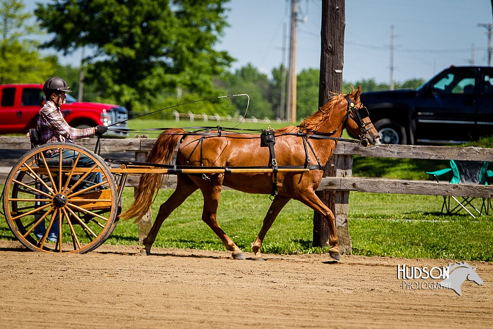 4H-FUN-060714-0467.jpg