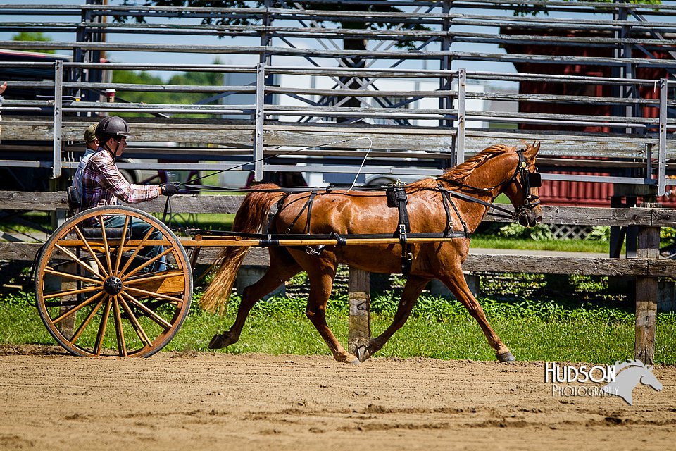 4H-FUN-060714-0468.jpg