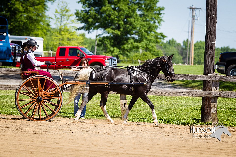 4H-FUN-060714-0470.jpg