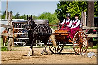 4H-FUN-060714-0463.jpg