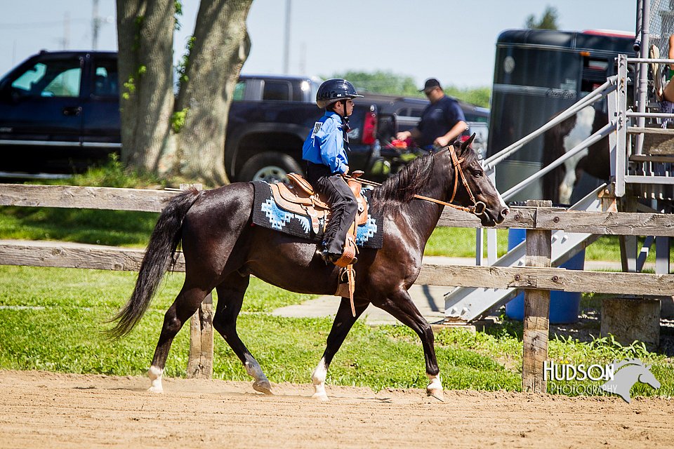 4H-FUN-060714-0491.jpg