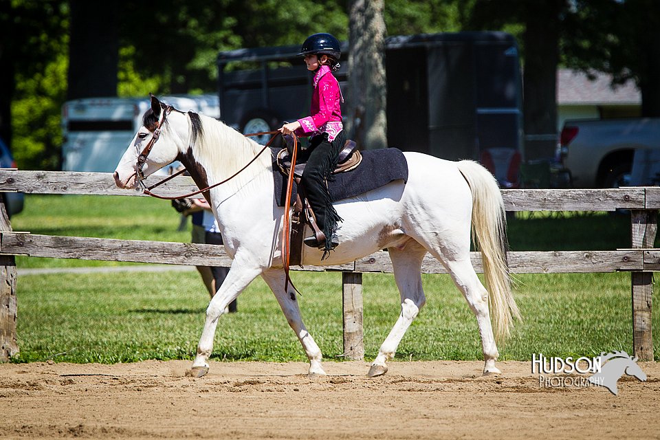 4H-FUN-060714-0516.jpg