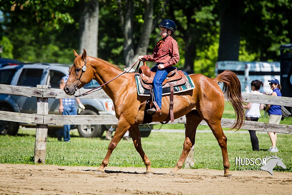 4H-FUN-060714-0518.jpg